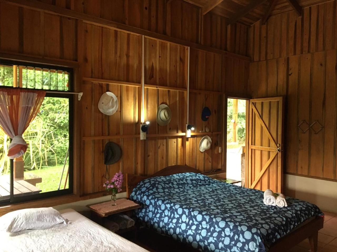 Birds & Breakfast Costa Rica Bed & Breakfast La Tigra  Exterior photo