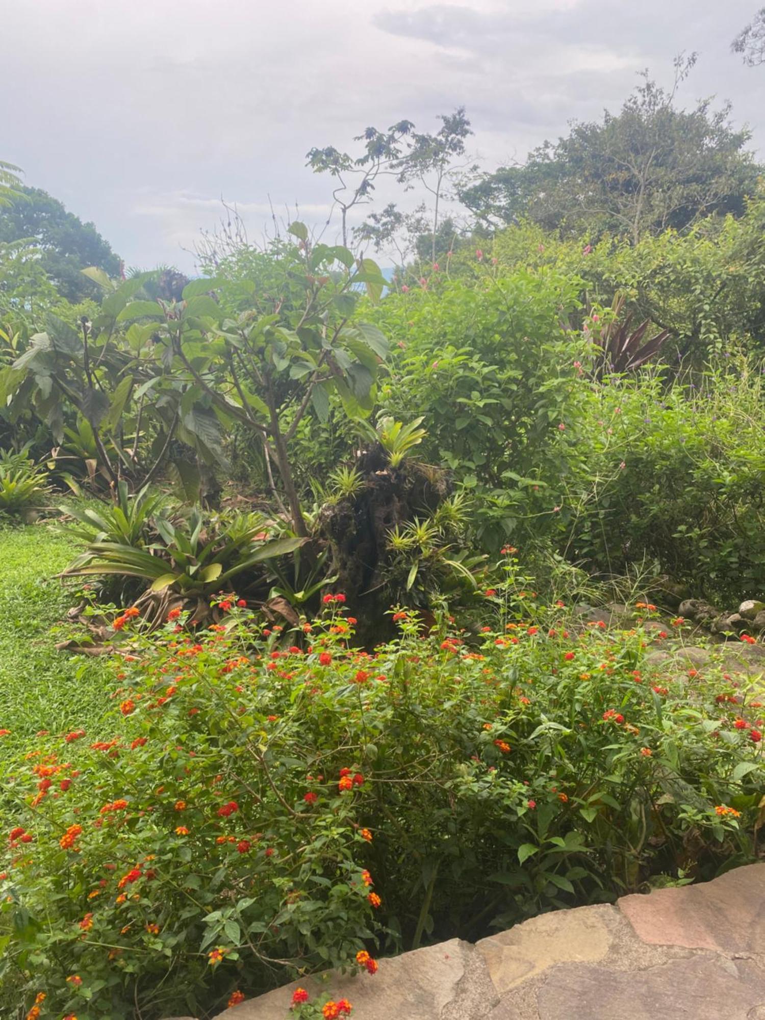 Birds & Breakfast Costa Rica Bed & Breakfast La Tigra  Exterior photo