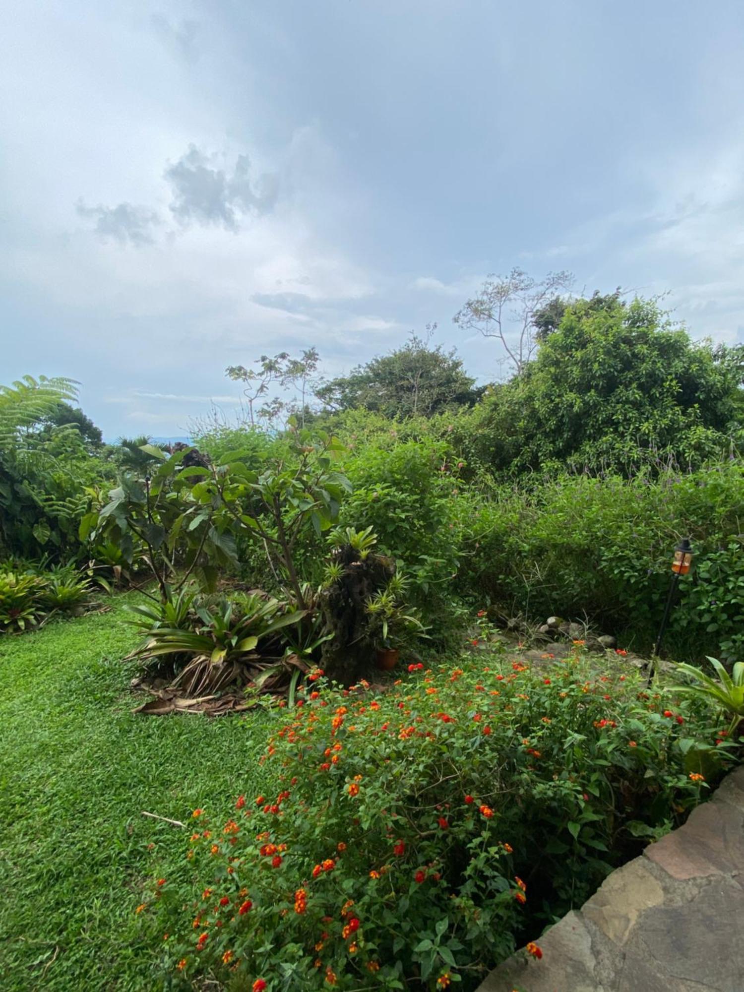 Birds & Breakfast Costa Rica Bed & Breakfast La Tigra  Exterior photo