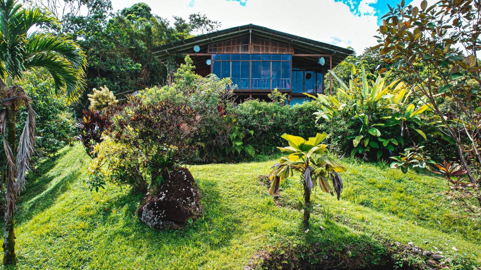 Birds & Breakfast Costa Rica Bed & Breakfast La Tigra  Exterior photo