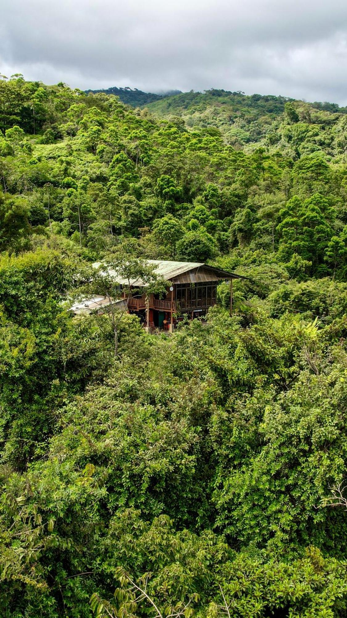 Birds & Breakfast Costa Rica Bed & Breakfast La Tigra  Exterior photo